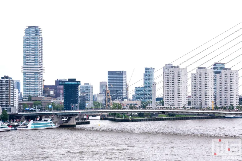 De Rotterdamse Dakendagen 2024 in Rotterdam met het uitzicht op de Erasmusbrug