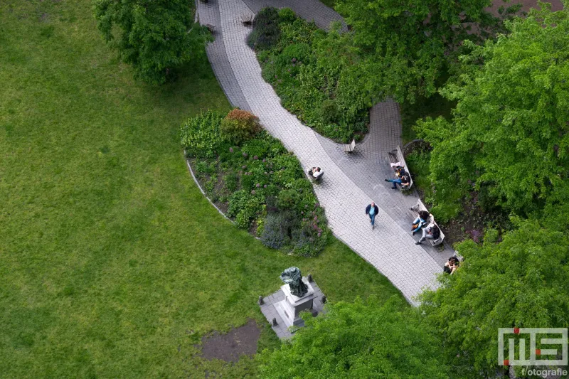 De Rotterdamse Dakendagen 2024 in Rotterdam met het uitzicht op het grasveld voor de Laurenskerk