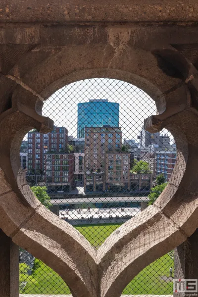 De Rotterdamse Dakendagen 2024 in Rotterdam met het uitzicht vanuit de Laurenskerk