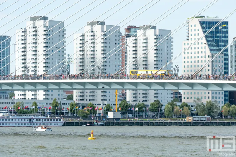 De bezoekers op de Erasmusbrug tijdens de Wereldhavendagen 2024