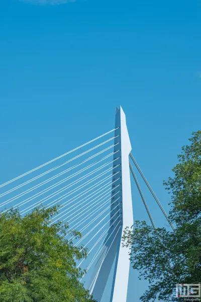 Een detailfoto van de Erasmusbrug tijdens de Wereldhavendagen 2024 in Rotterdam