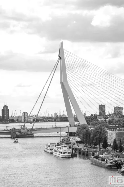 Het schitterende uitzicht op de Erasmusbrug tijdens Open Monumentendag 2024