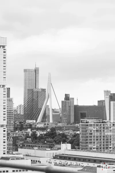 Het schitterende uitzicht op de Erasmusbrug tijdens Open Monumentendagen 2024