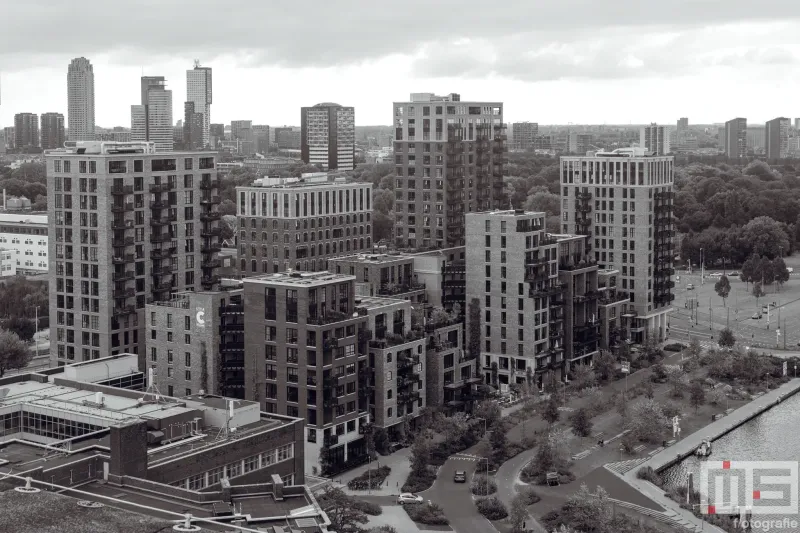 Het schitterende uitzicht vanuit het GEB-gebouw op de Little C in Rotterdam tijdens de Open Monumentendagen