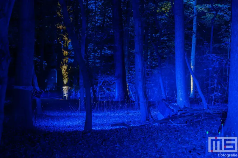 De blauwe ledshow van De Grote Schijn in het Kralingse Bos in Rotterdam