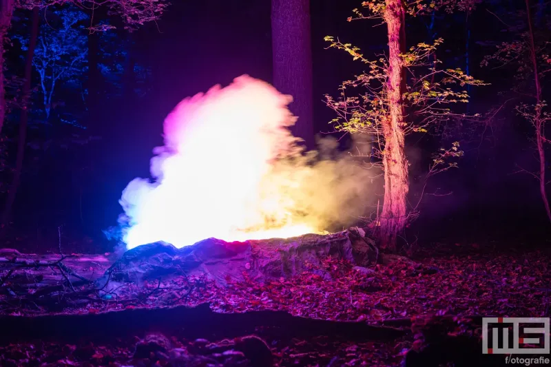 De kleurenmist van De Grote Schijn in het Kralingse Bos in Rotterdam