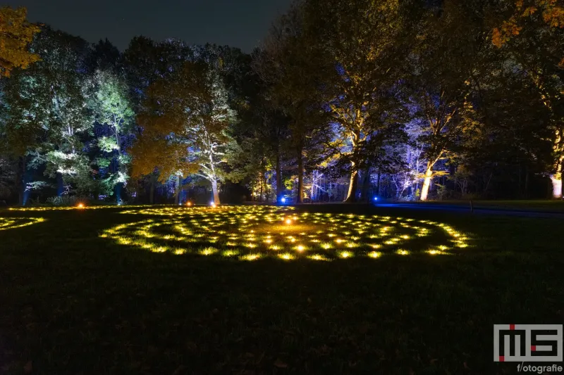 De lichtcirkels tijdens De Grote Schijn in het Kralingse Bos in Rotterdam