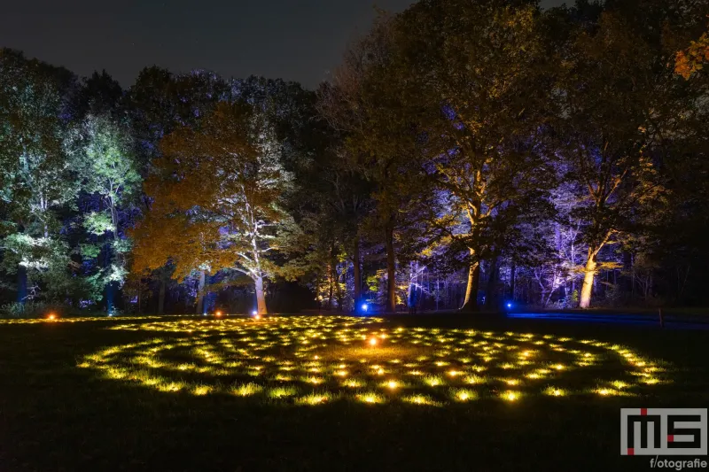 De lichtcirkels tijdens De Grote Schijn 2024 in het Kralingse Bos in Rotterdam