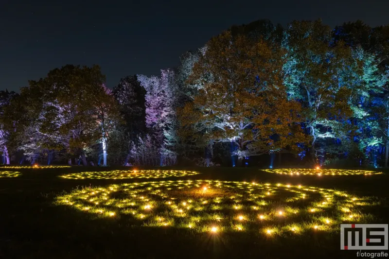 De lichtcirkel tijdens De Grote Schijn in het Kralingse Bos in Rotterdam