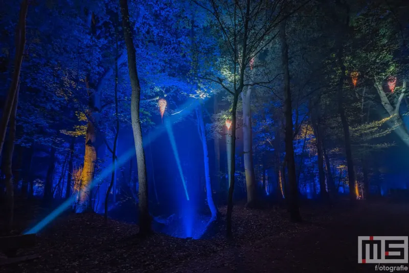 Het blauws bos tijdens De Grote Schijn in het Kralingse Bos in Rotterdam