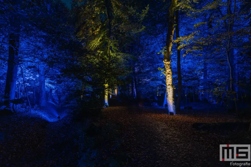 De blauwe lichtshow van De Grote Schijn in het Kralingse Bos in Rotterdam